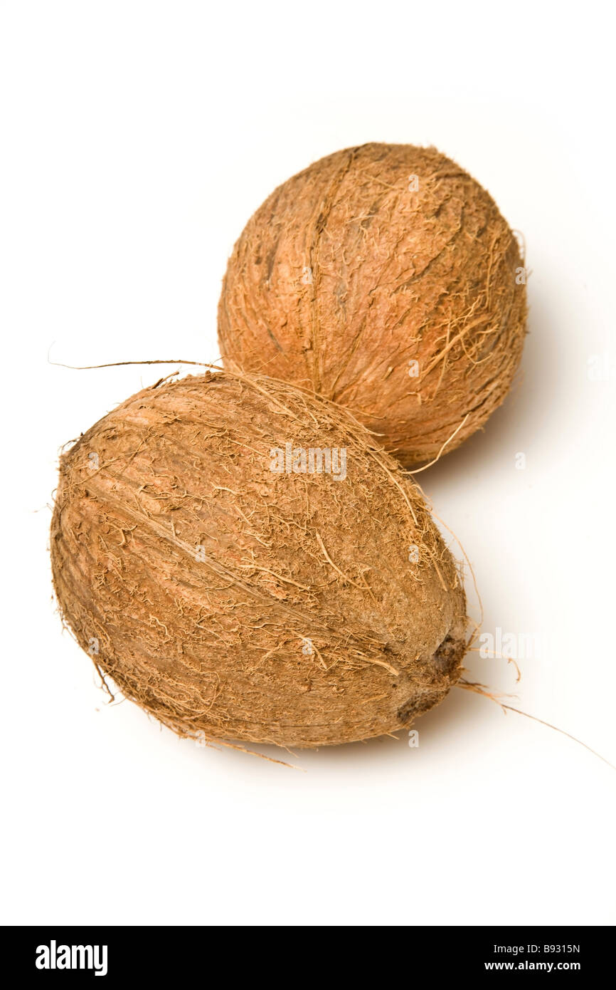 Noci di cocco isolato su un bianco di sfondo per studio Foto Stock