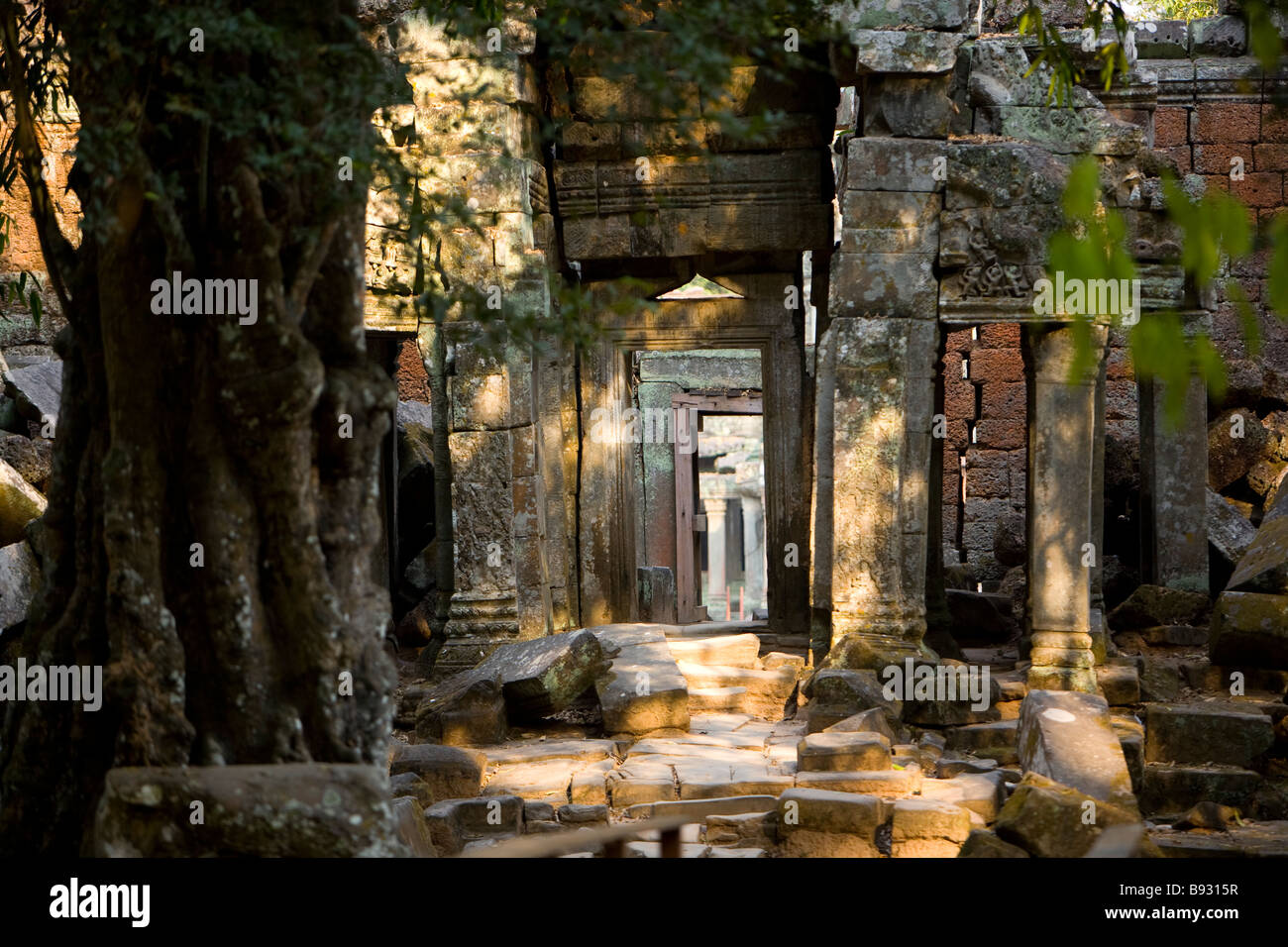 Ta Prohm situato all'interno di Angkor Wat complesso accanto a Siem Reap Cambogia Foto Stock