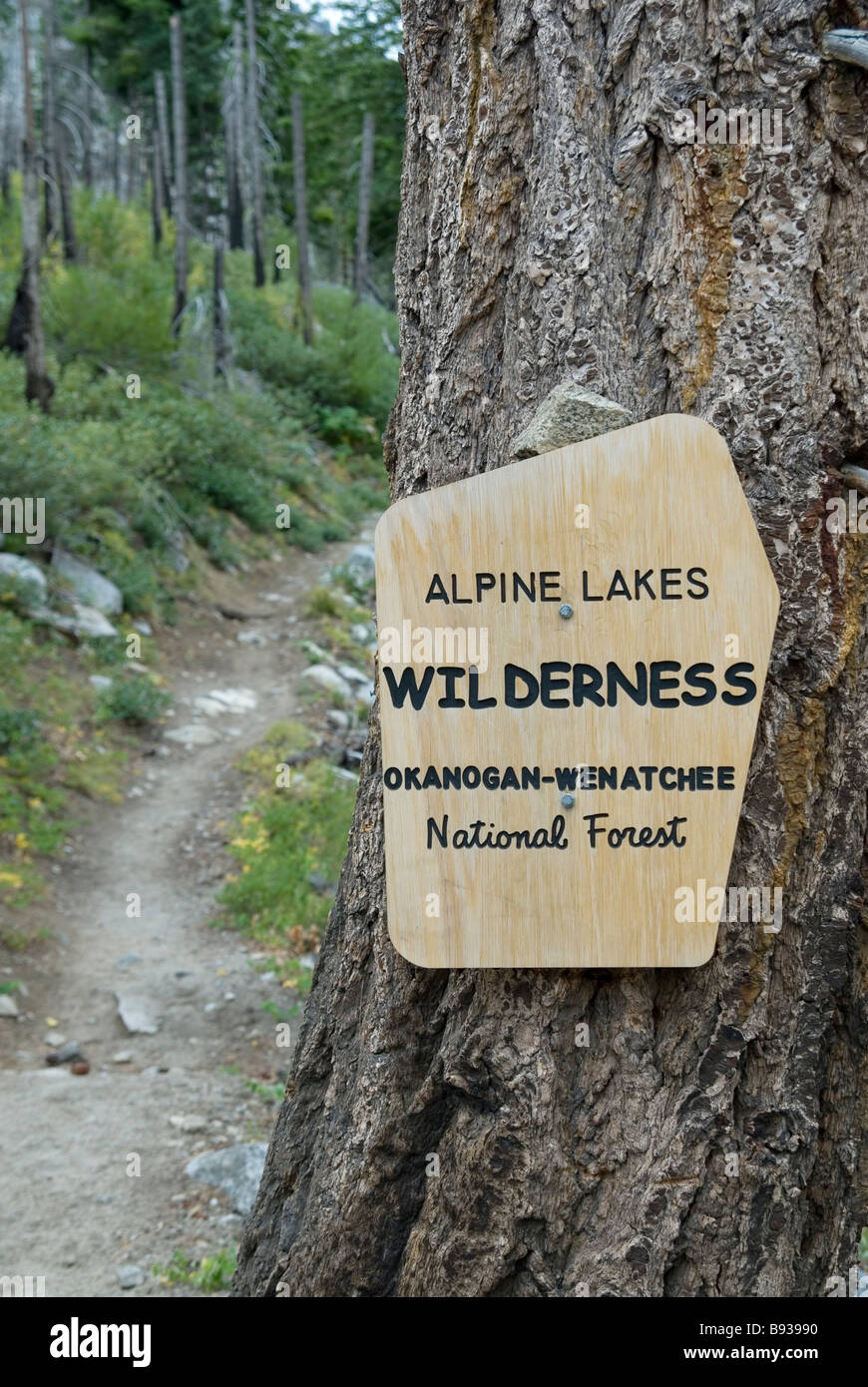 Segnavia per la Alpine Lakes Wilderness, nello Stato di Washington Foto Stock