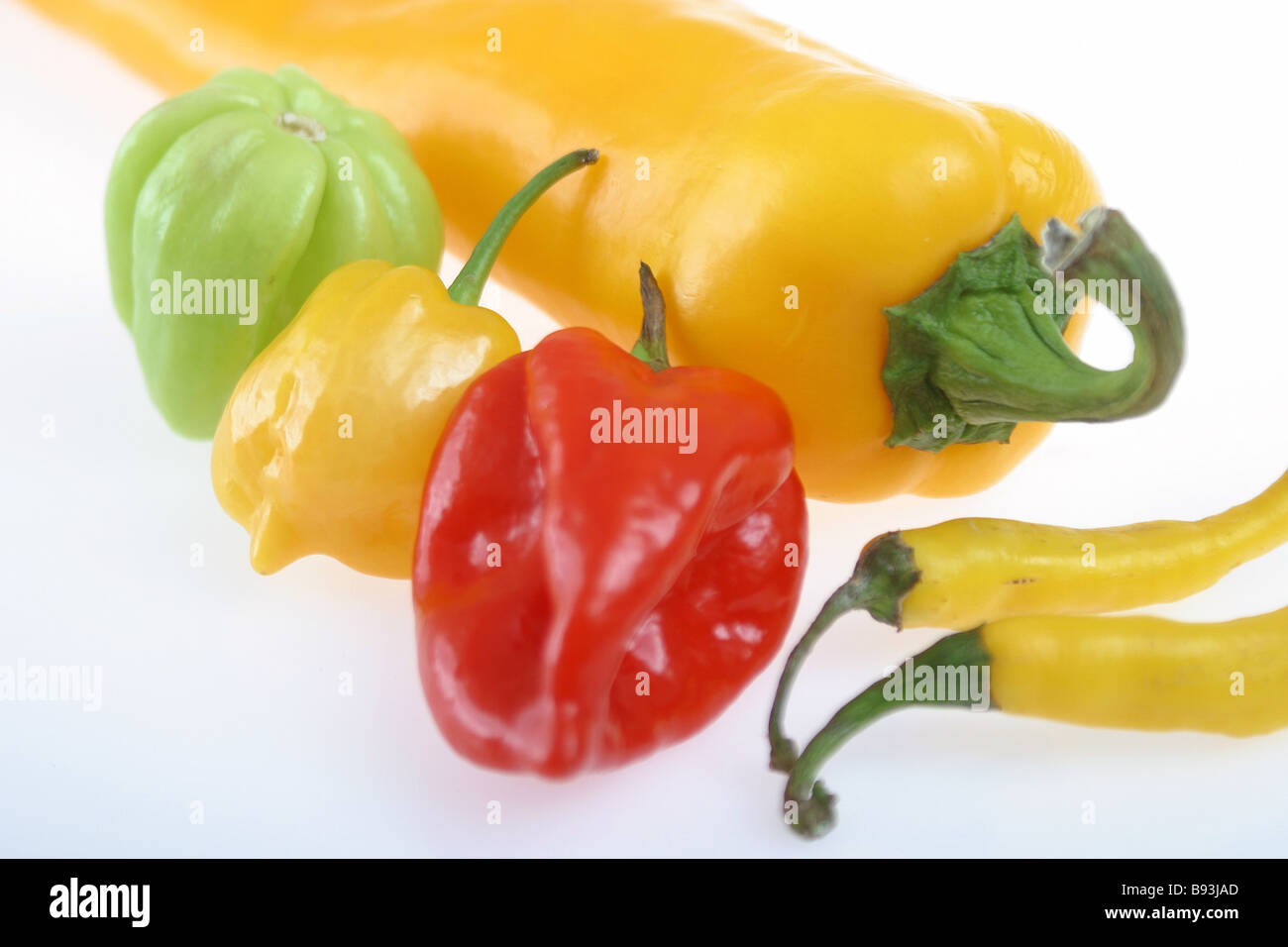 peperoni del Cile Foto Stock