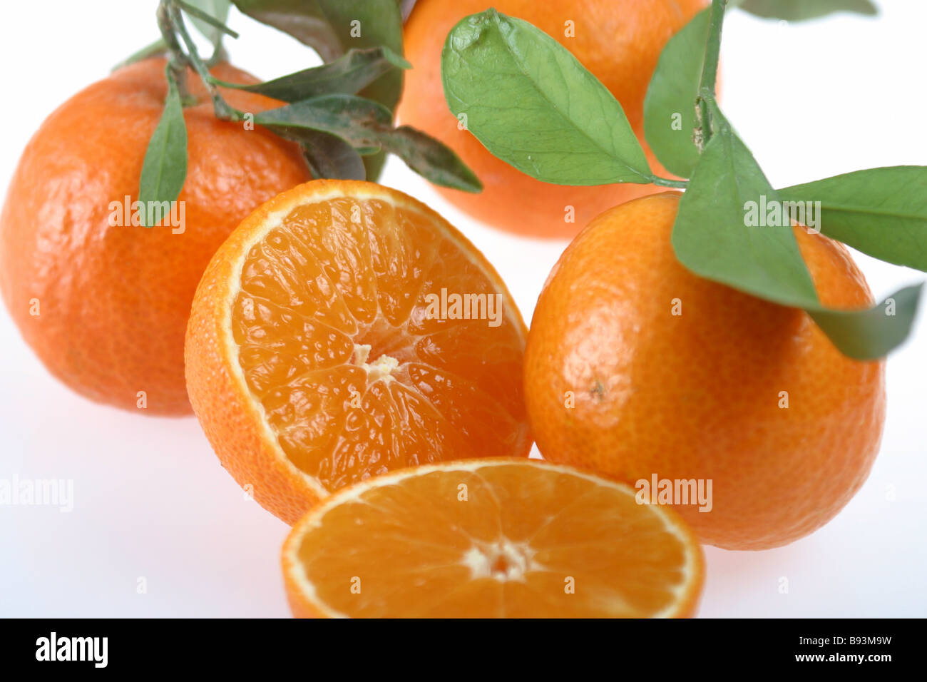 arance Foto Stock
