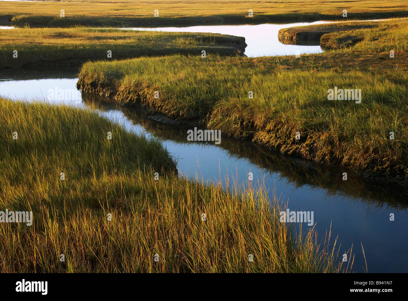 La Palude Salata a sandwich di Sunrise Cape Cod Massachusetts USA Foto Stock