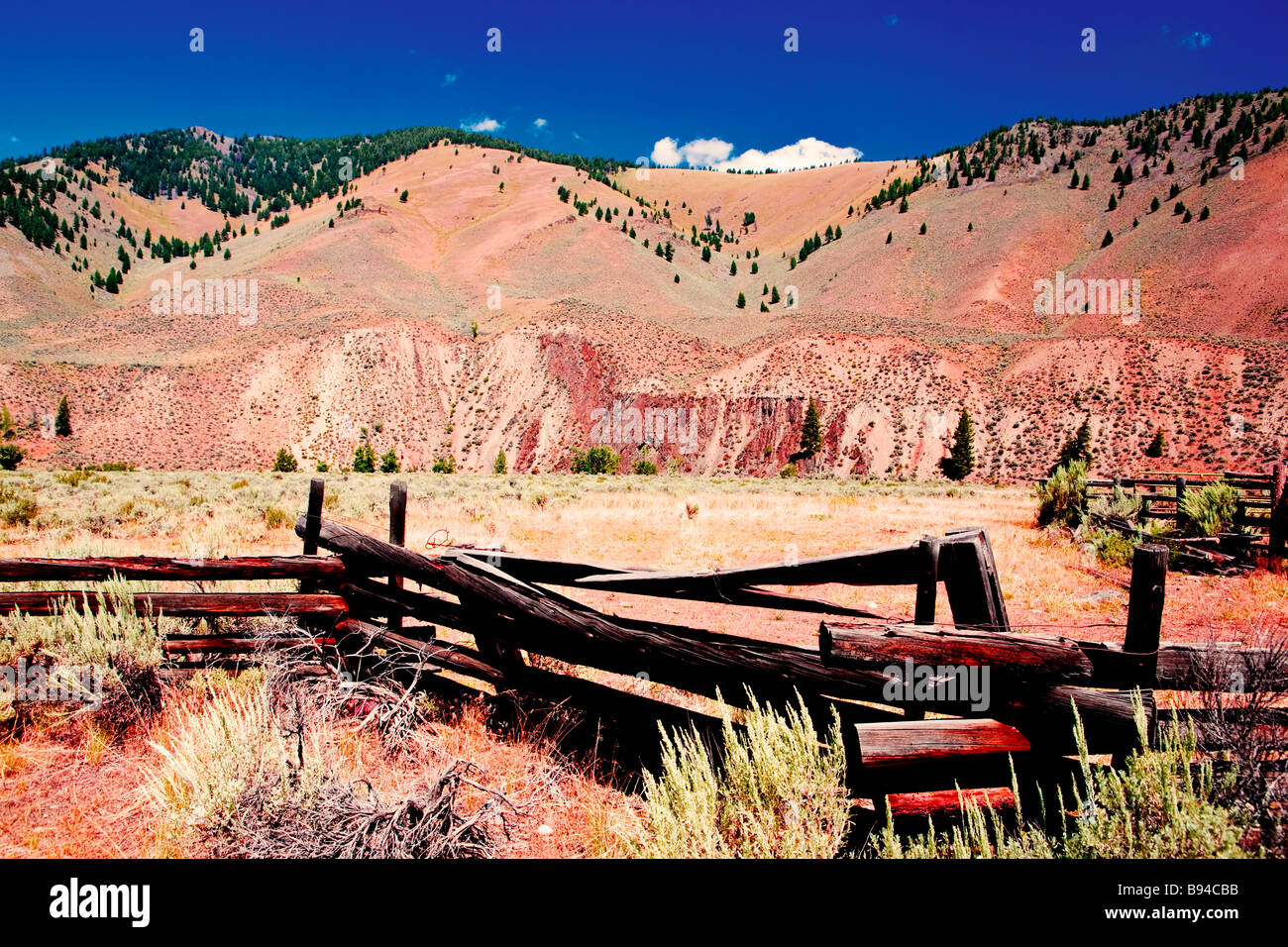 Wide open ranch terra lungo il fiume da salmone vicino Challis, Idaho, Stati Uniti d'America. Foto Stock