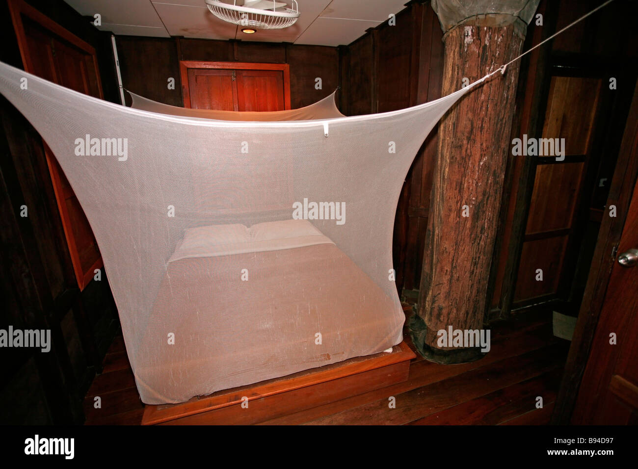 Khao Sok National Park: Zanzariera in Tree Tops Hotel Foto Stock
