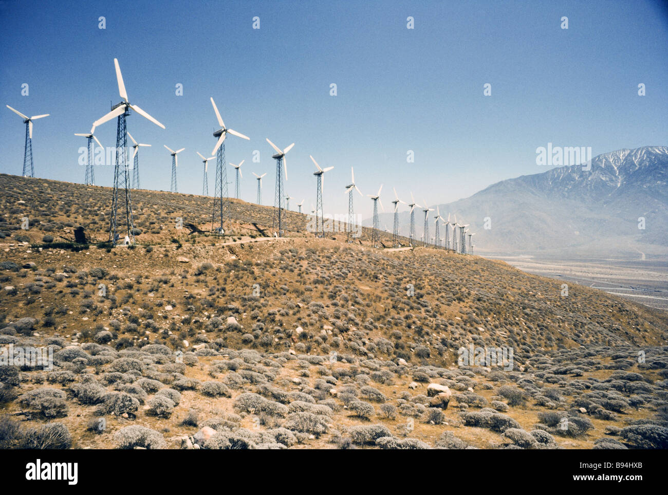 Produzione di energia, turbine eoliche, Palm Springs California Foto Stock