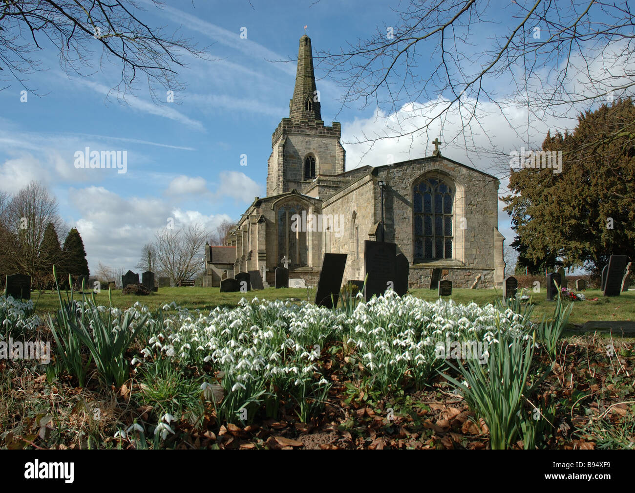 Visualizzazione di bucaneve, St Ediths chiesa, Orton sulla collina, Leicestershire, England, Regno Unito Foto Stock