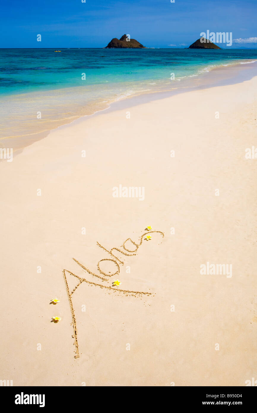 La parola "Aloha" è scritto su una spiaggia di sabbia in Hawaii con fiori di plumeria a fianco Foto Stock