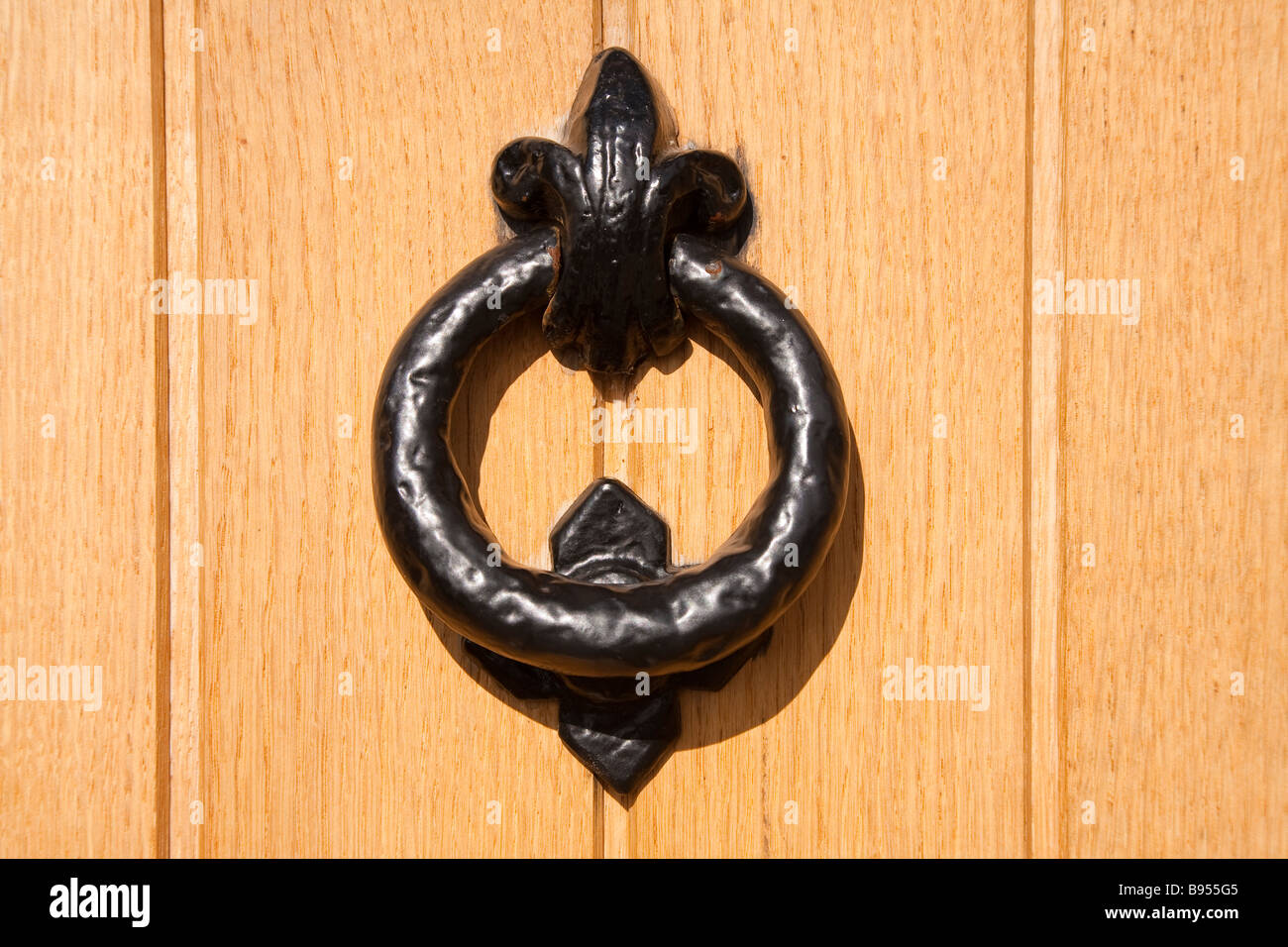 Porta Nera respingente in massello di rovere porta esterna Foto Stock