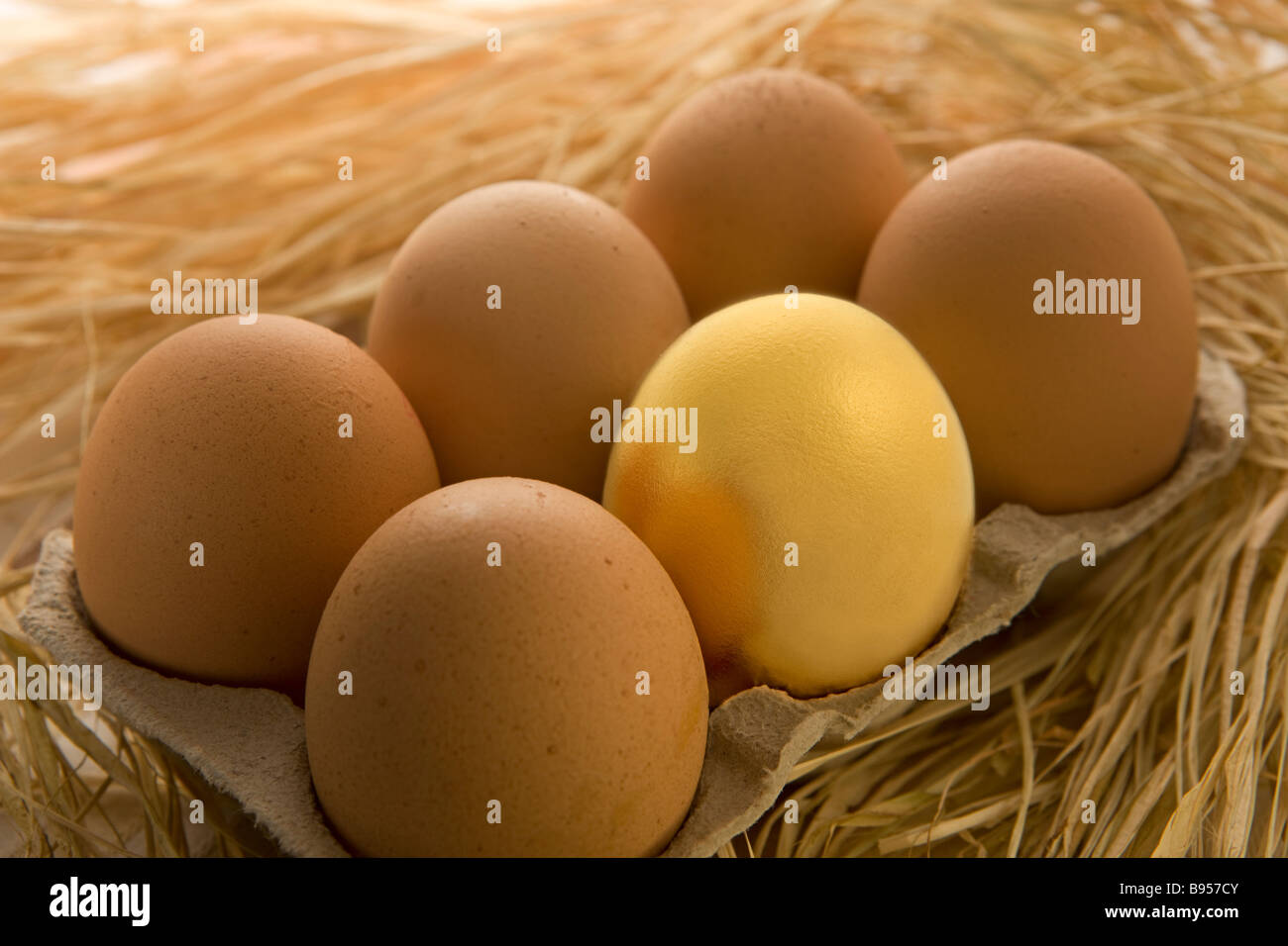 Golden Egg in eggbox Foto Stock