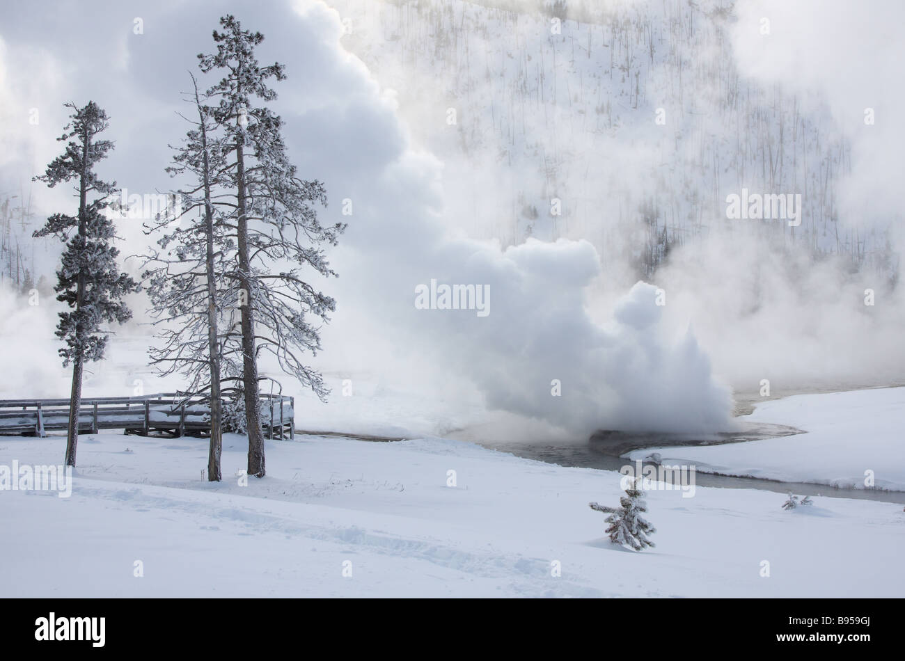 Cliff Geyser che erutta su un giorno nevoso di sabbia nera bacino, il Parco Nazionale di Yellowstone Foto Stock