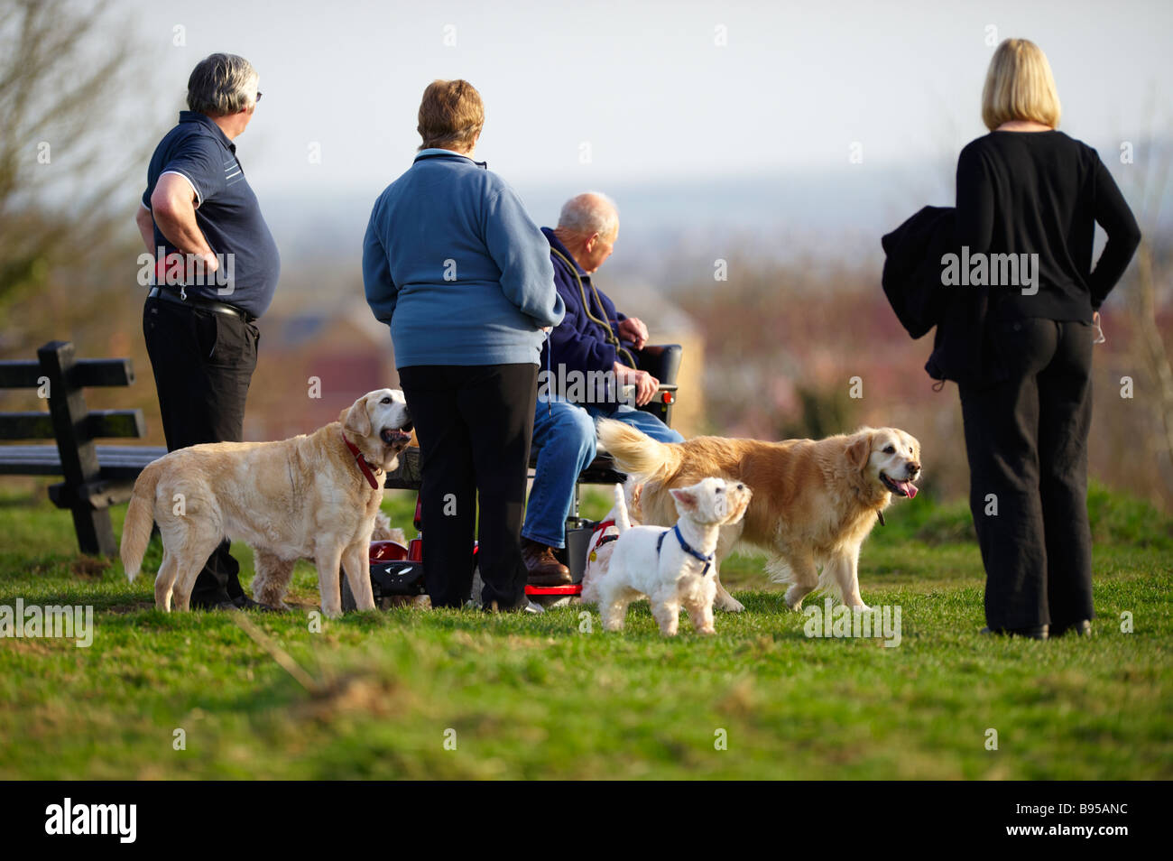 Dog walkers Mangotsfield comuni di Bristol Foto Stock