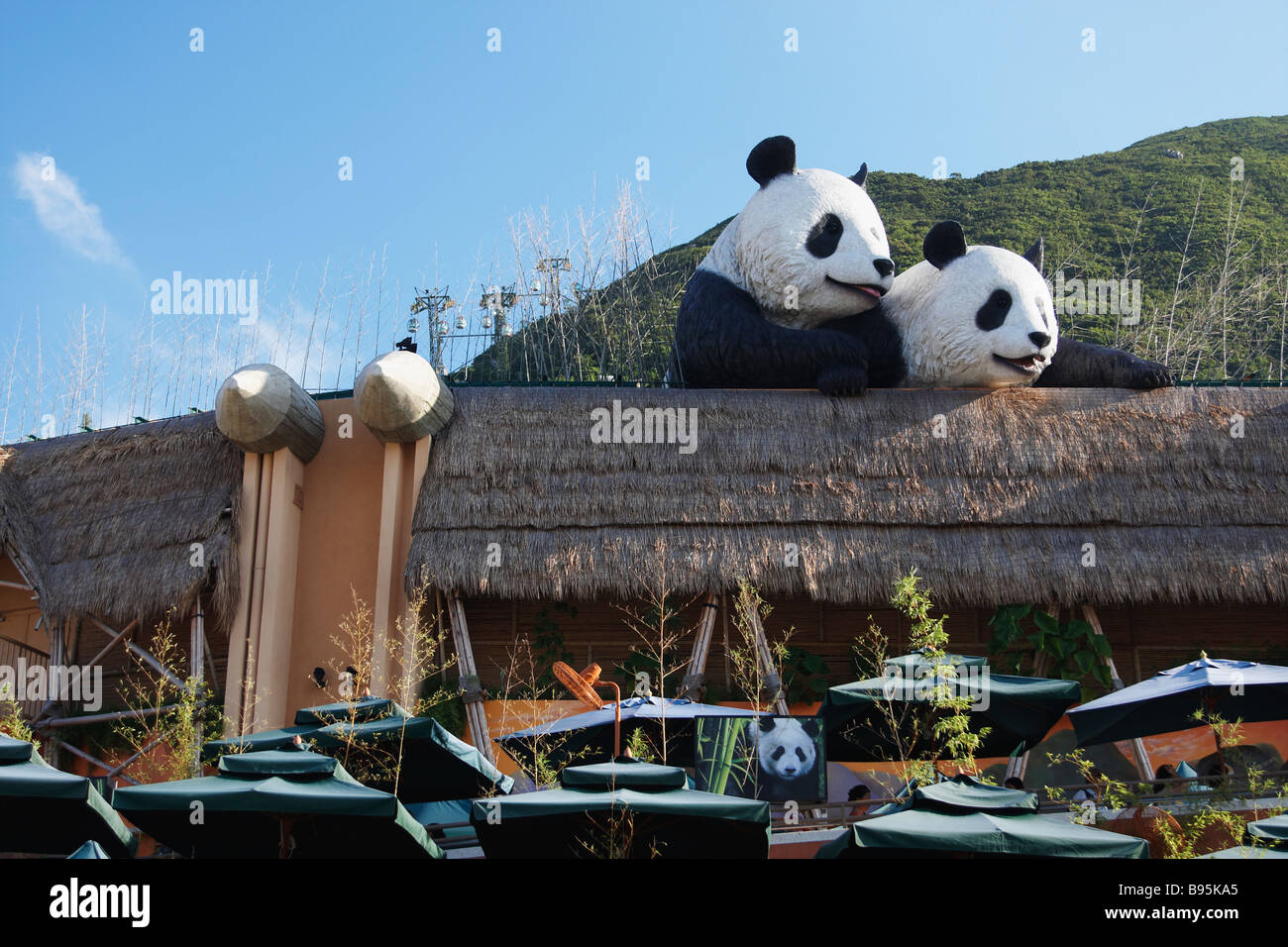 Panda Enclosure, Ocean Park, Isola di Hong Kong Foto Stock