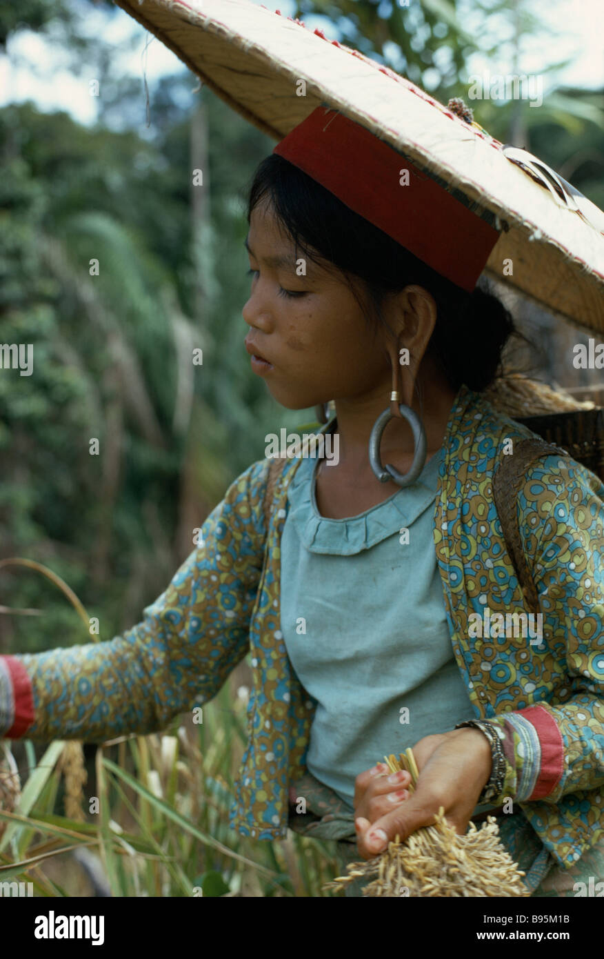 MALAYSIA Southeast Asia Borneo Sarawak Kayan giovane donna con orecchioni allungato e orecchini pesanti. Sub-gruppo di persone Dayak Foto Stock