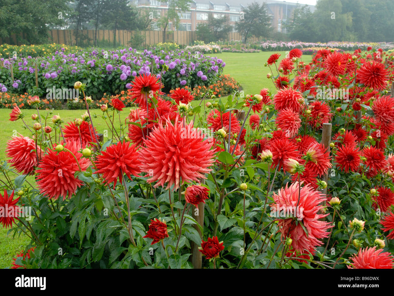 I Giardini Botanici di Lille in Francia Foto Stock