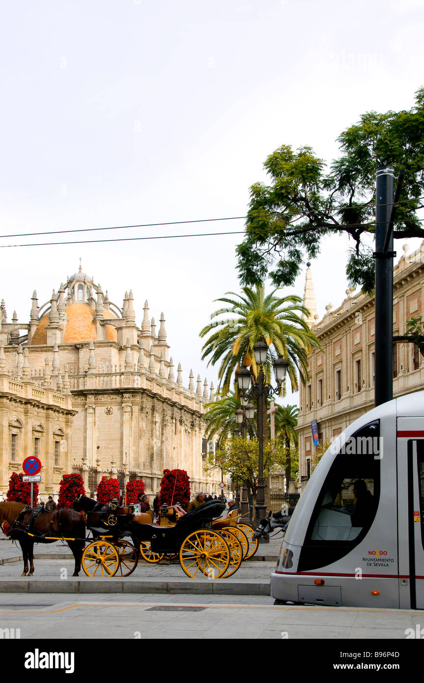 Le fermate del tram e carriges nella Avenida de la Constitucion,Sevilla Foto Stock