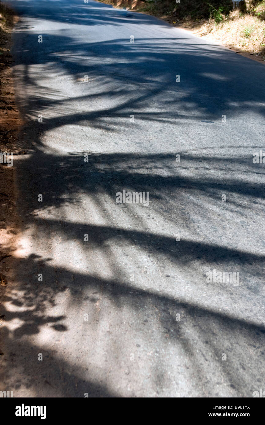 Modello di Ombra di palmo leafes sulla superficie della strada tropicale. Foto Stock