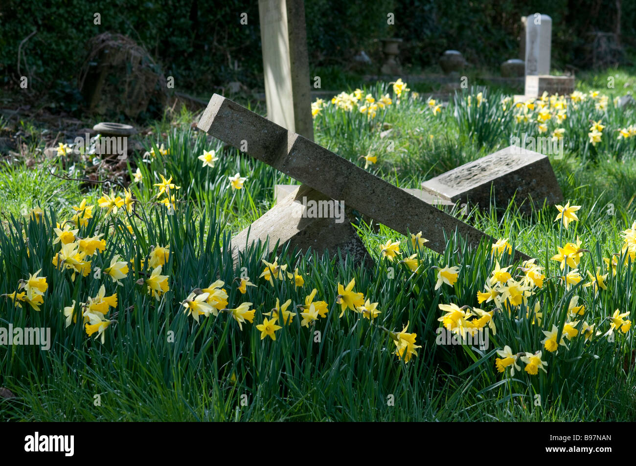 Southampton vecchio cimitero è situato nel comune di Southampton Foto Stock