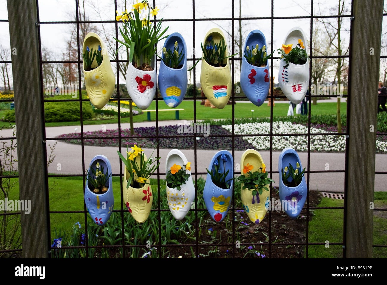 Giunchiglie, Pansies e giacinti sono piantati in scarpe di legno e visualizzato in giardini Keukenhof in Lisse, Paesi Bassi. Foto Stock