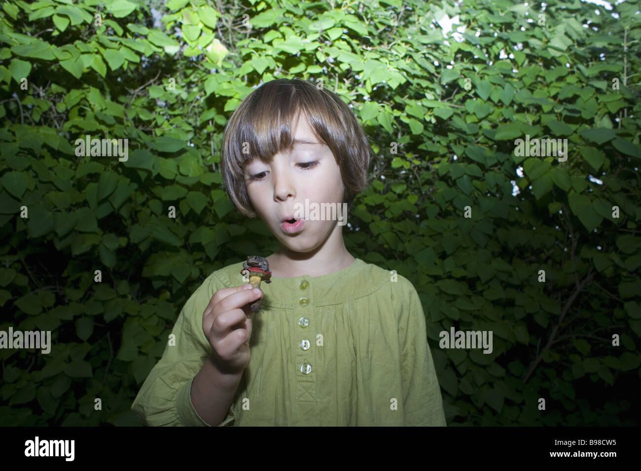 Ragazza giovane azienda piccola rana Foto Stock