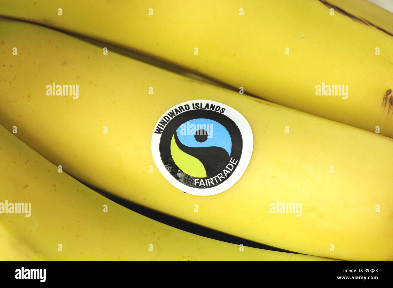 Fairtrade le banane provenienti dalle Isole Sopravento Foto Stock