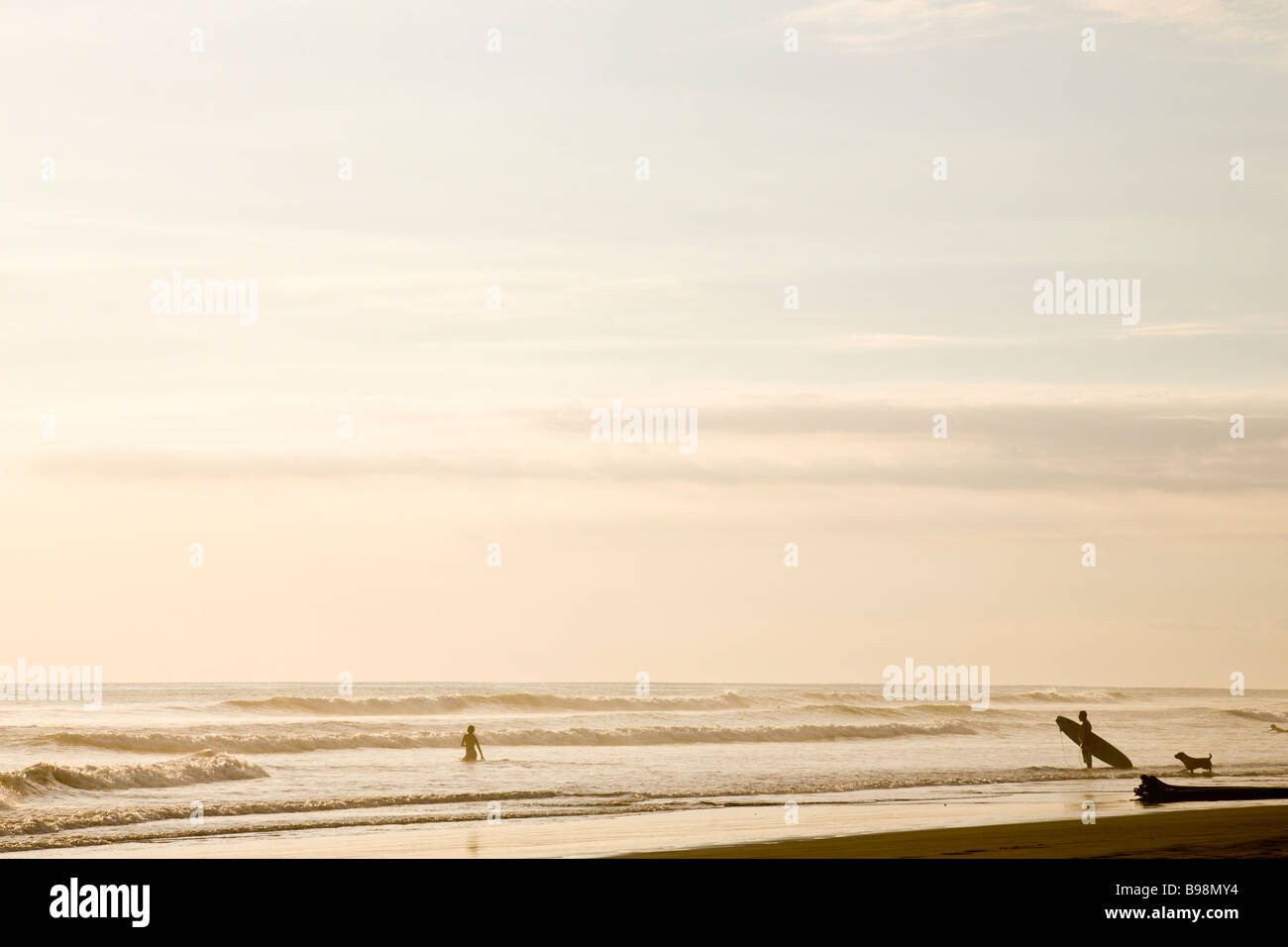 Surfer con il suo cane la visione di una donna di entrare l'oceano per andare a nuotare al tramonto in Dominical, Costa Rica. Foto Stock
