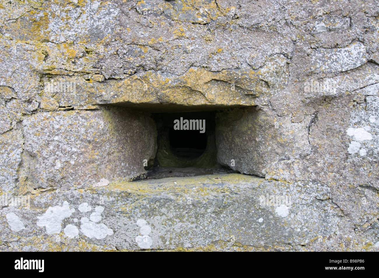 Loop di pistola nella torre Dryhope vicino a St Mary s Loch in Yarrow Valley Foto Stock