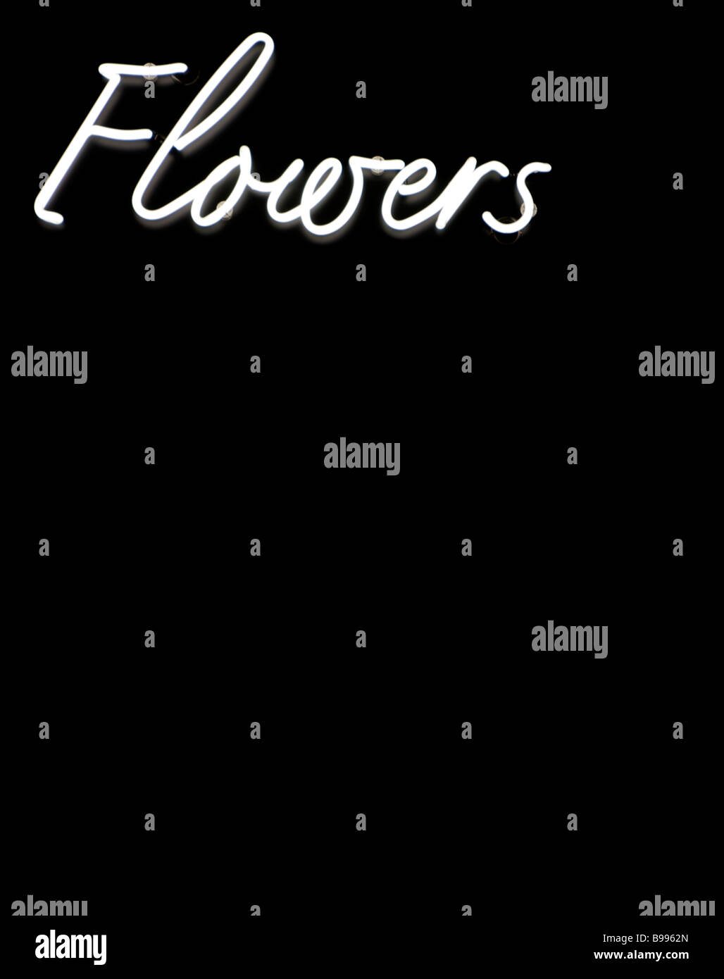 Segno di fiori in neon bianco su sfondo nero Foto Stock