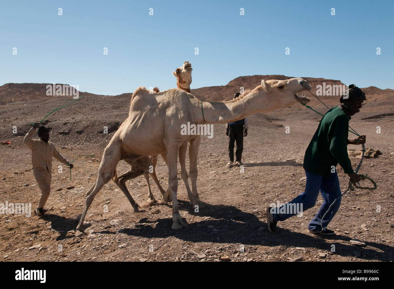 Africa occidentale Mauritania Route de l espoir Nema fine della strada Foto Stock