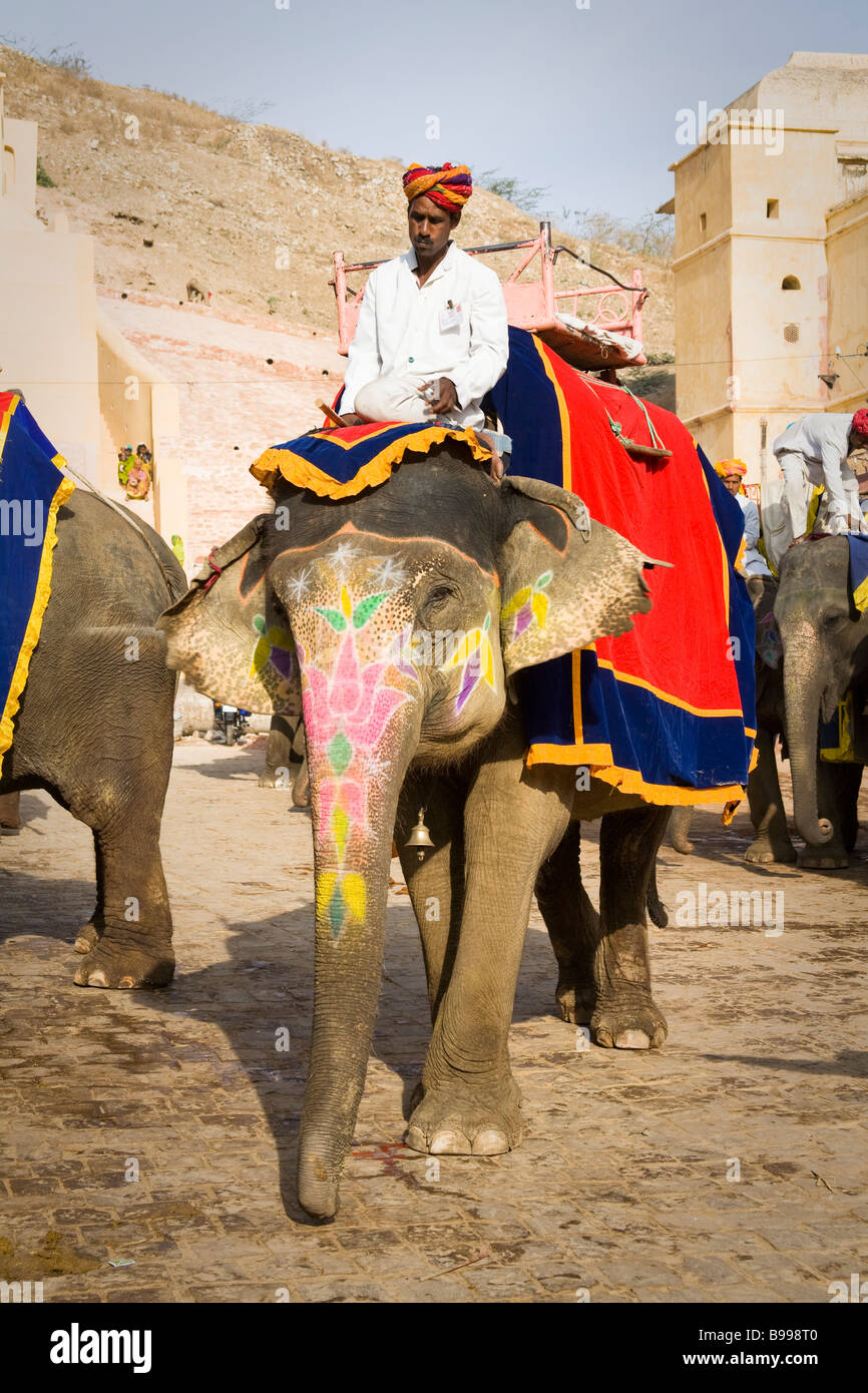 Mahout seduto su un elefante, Ambra Palace, ambra, vicino a Jaipur, Rajasthan, India Foto Stock