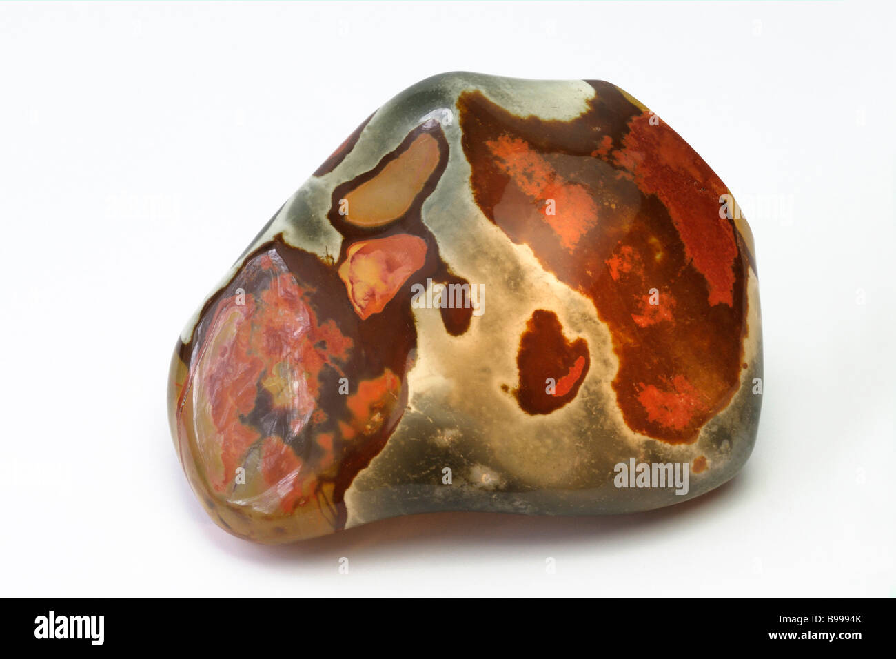 Jasper, studio immagine Foto Stock