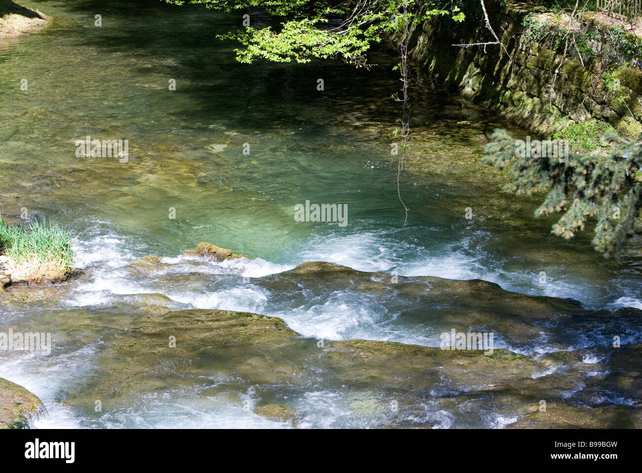 Stream, close-up Foto Stock