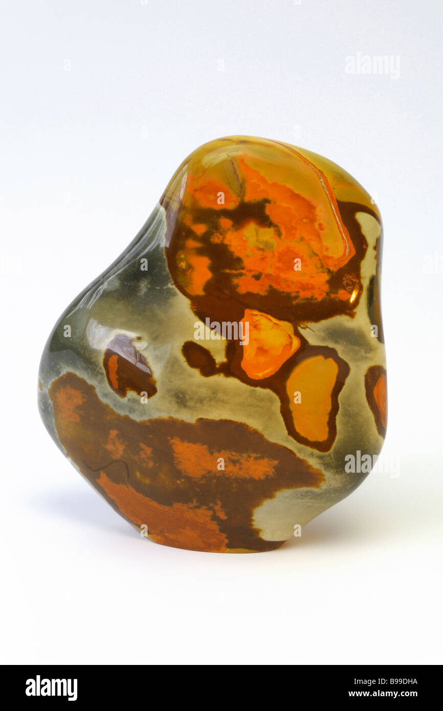 Jasper, studio immagine Foto Stock