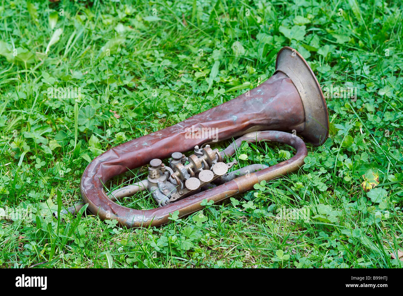 Colpo di perso vecchia tromba in erba Foto Stock