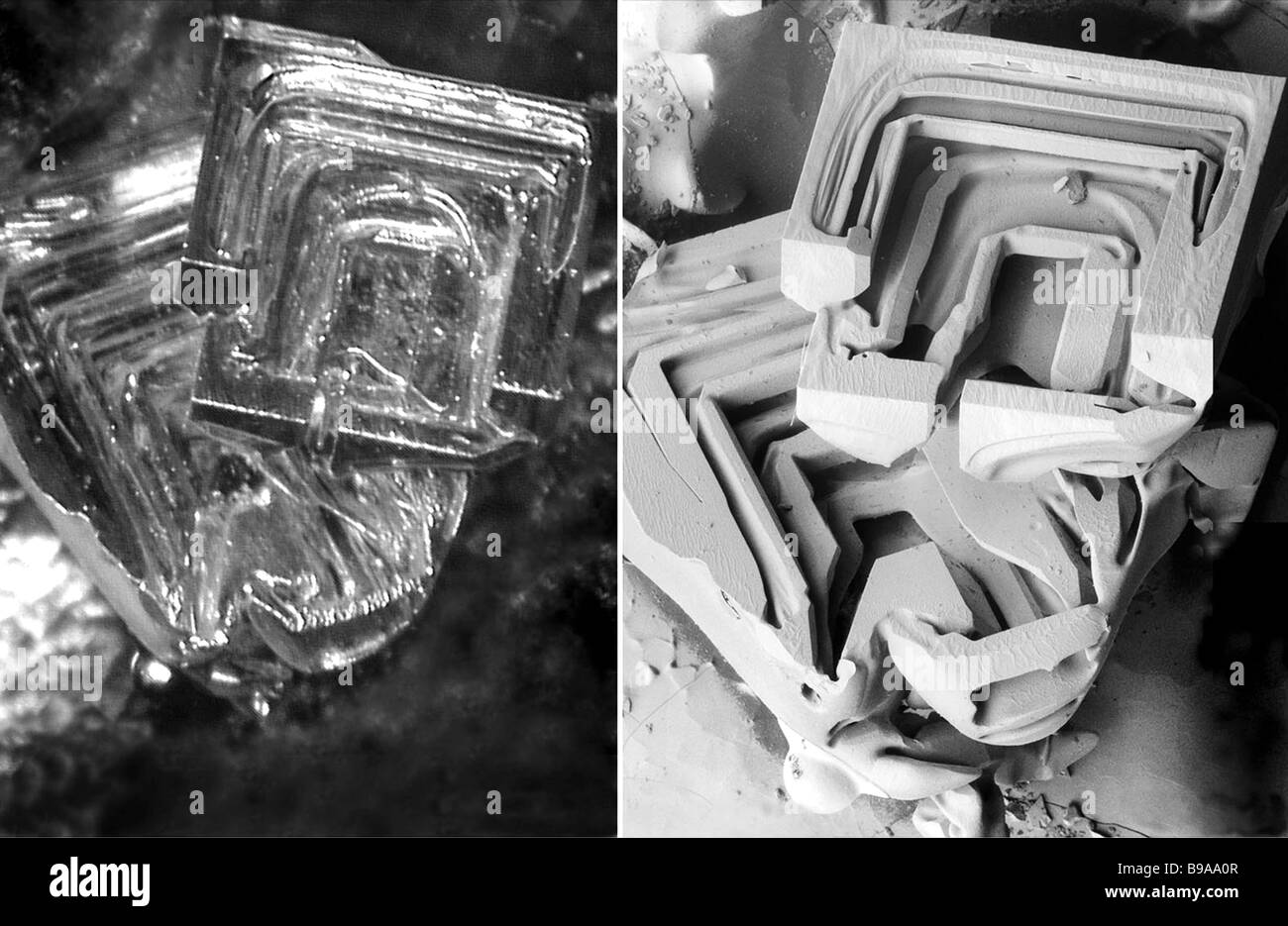 Confronto di una micrografia di luce e una micrografia elettronica di un cristallo di ghiaccio Foto Stock