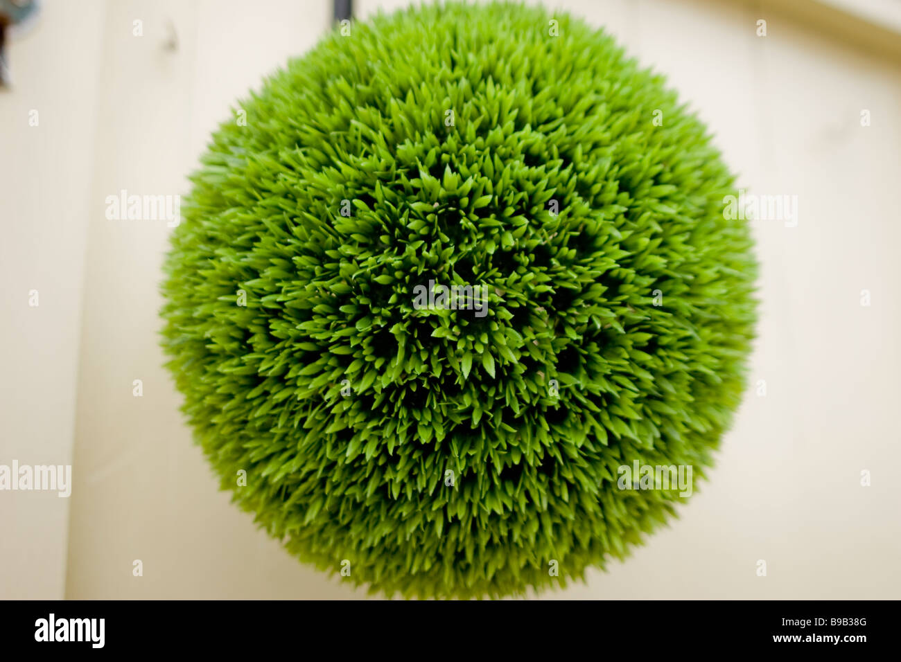 Una sfera di erba artificiale in Exeter. Foto Stock