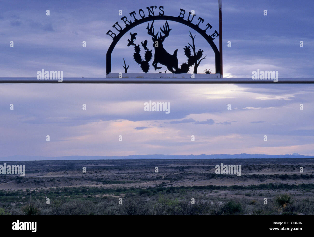 Insegna in ferro battuto al cancello del ranch all'alba, Edwards Plateau, Val Verde County, Texas USA Foto Stock