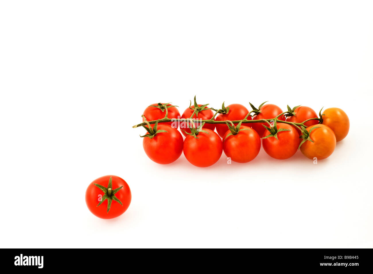 Grappolo di pomodori rossi e pomodoro unico Foto Stock