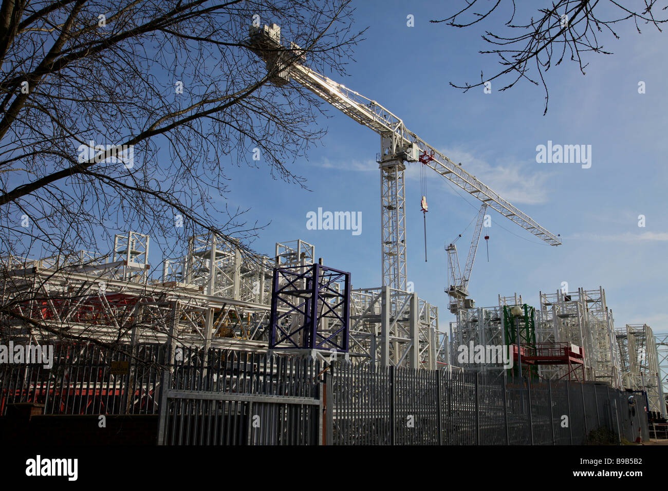 Grande gru in Inghilterra Foto Stock