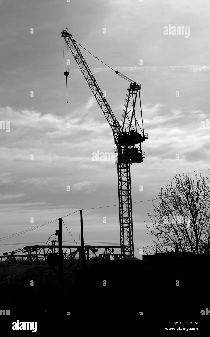 Una grande gru in Inghilterra Foto Stock