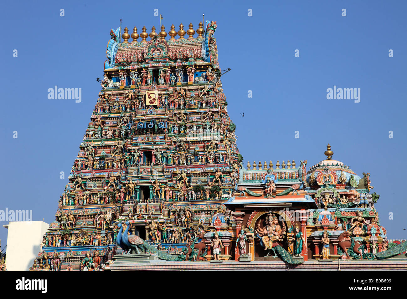 India Tamil Nadu Chennai Madras Kapaleeswarar Temple Foto Stock