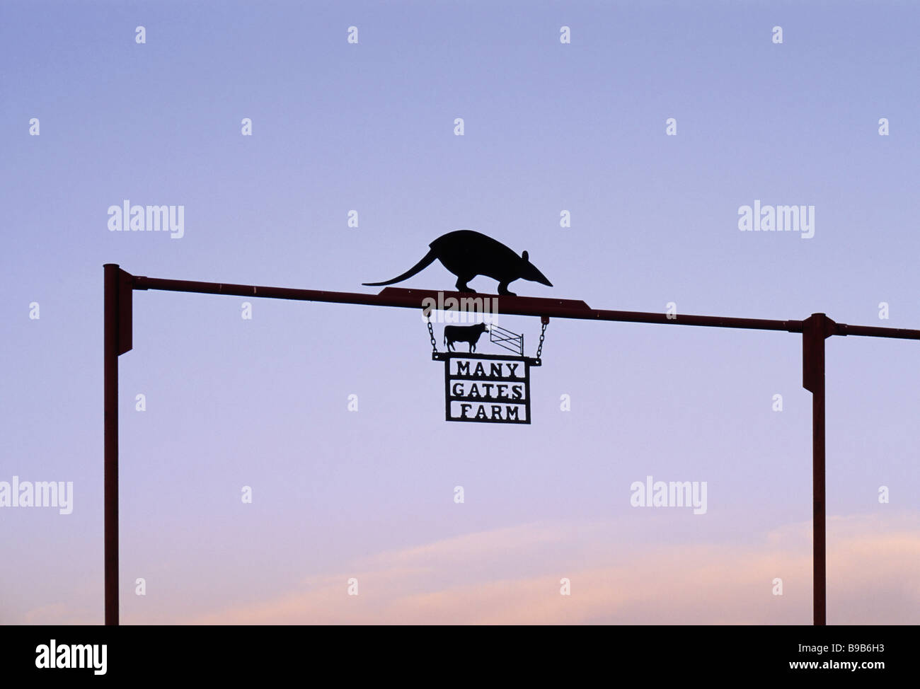 Ferro battuto gate ranch vicino a Washington Texas USA Foto Stock