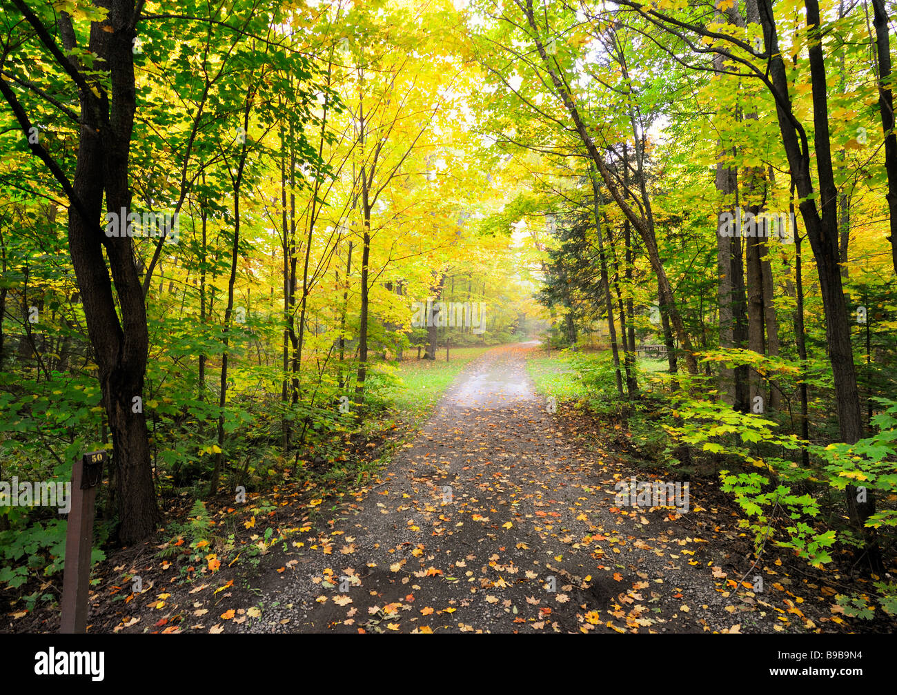 A piedi attraverso Fairbanks Provincial Park, vicino a Sudbury, Ontario, in autunno Foto Stock