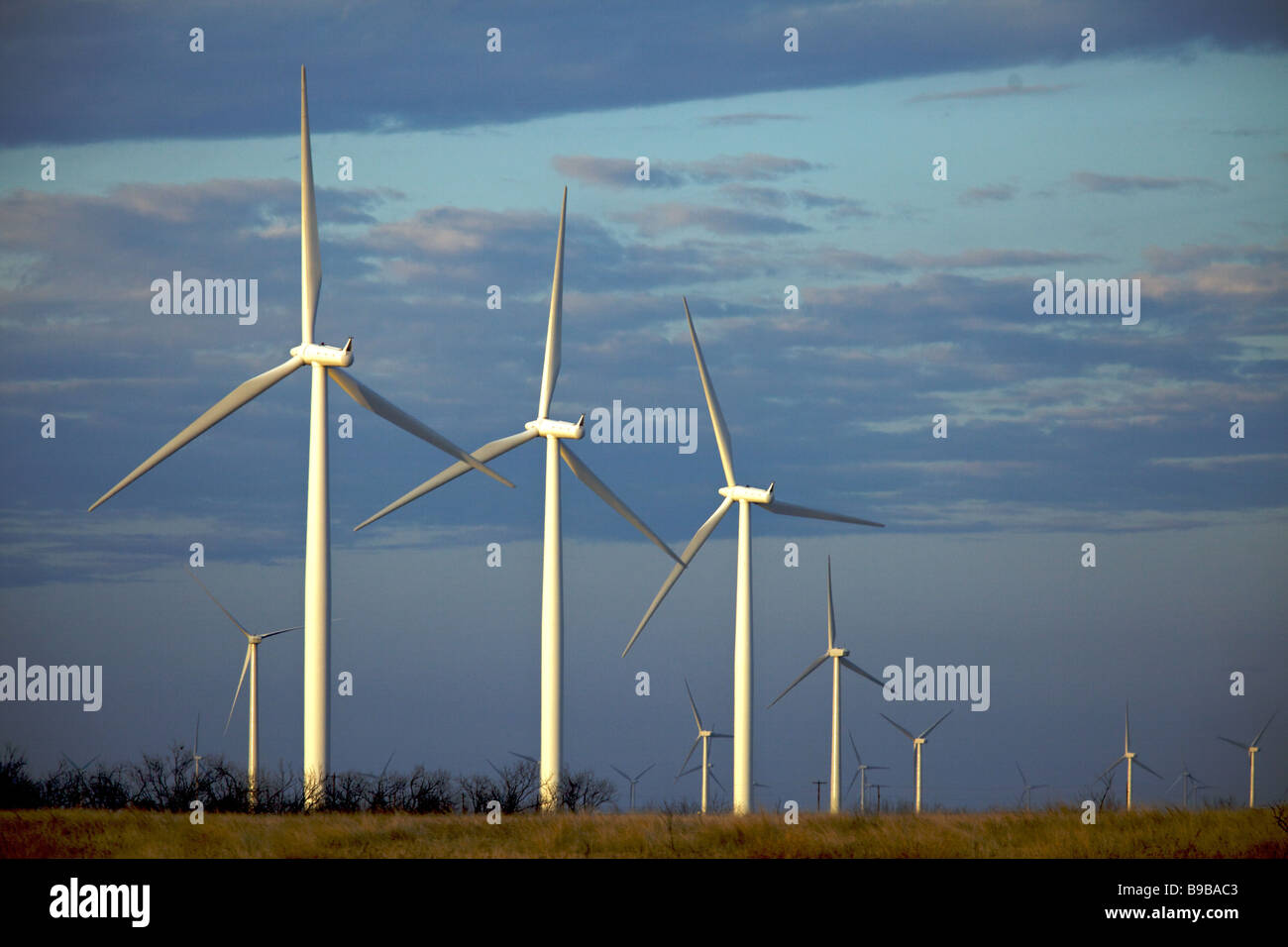 La mattina presto a turbine eoliche la generazione di potenza elettrica al cavo del cavallo fattoria eolica Nolan county Texas Foto Stock