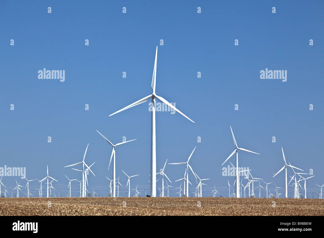Turbine eoliche che generano elettricità a cava di cavallo fattoria eolica Nolan county Texas il più grande del mondo Foto Stock