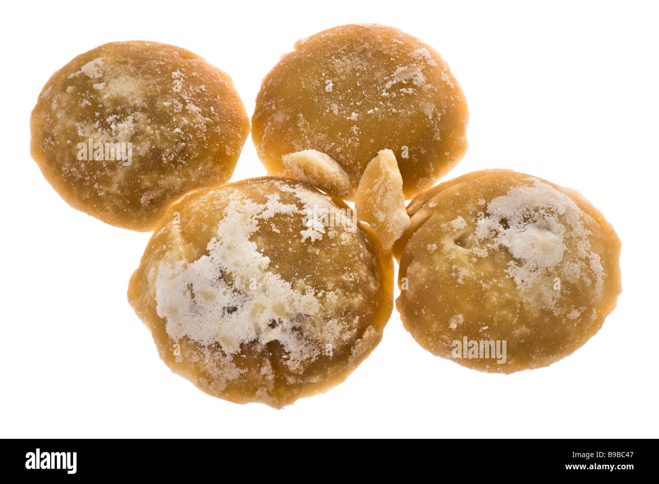 Palm palmsugar zucchero pellet essiccati a secco Struttura dolce succo di frutta linguette incredient dolcificante canna da zucchero torta fatta a mano a mano MARRONE Foto Stock