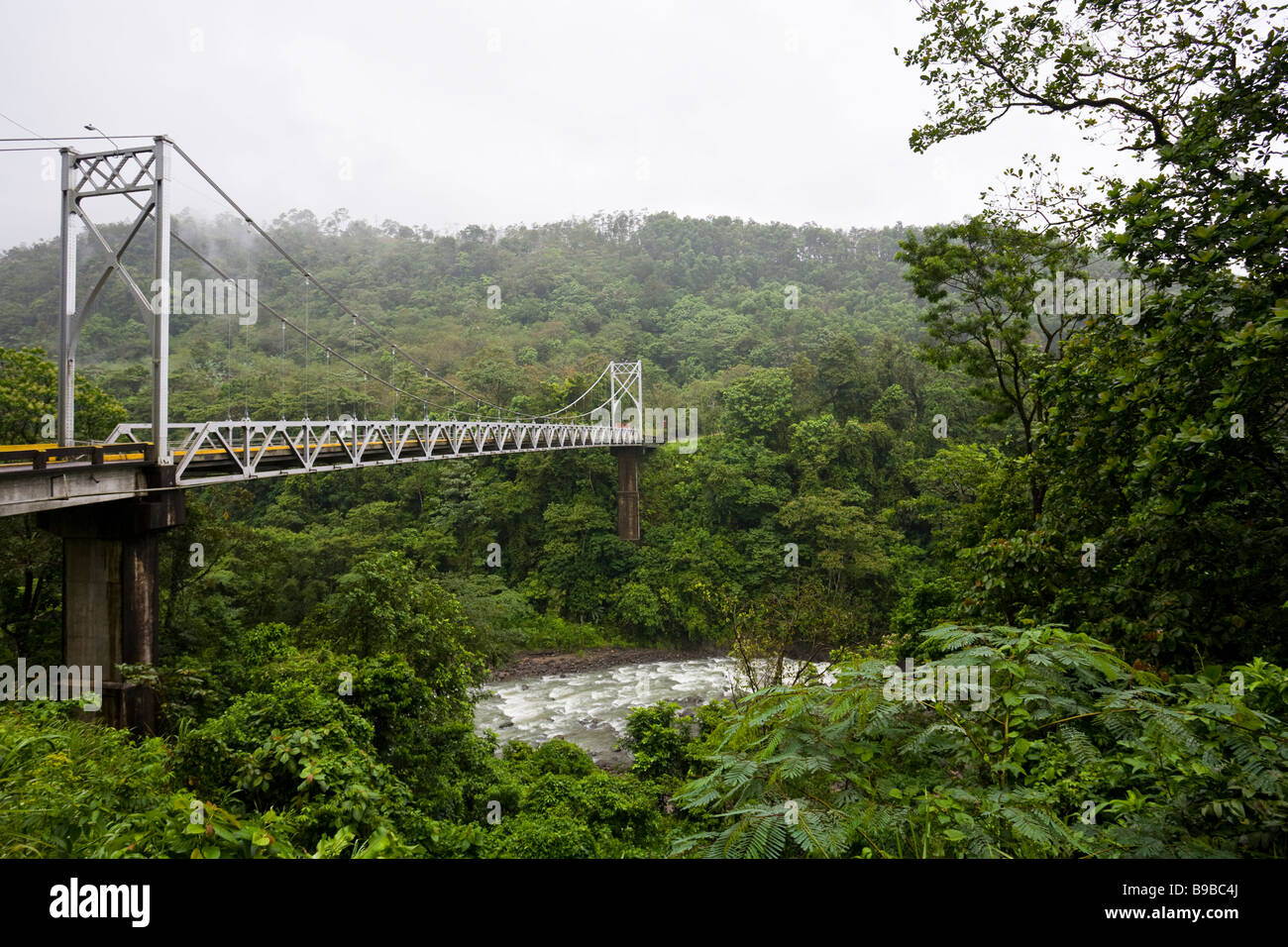 San Isidro de Peñas Blancas sospensione ponte attraversa la Penas Blancas fiume in Costa Rica centrale. Foto Stock