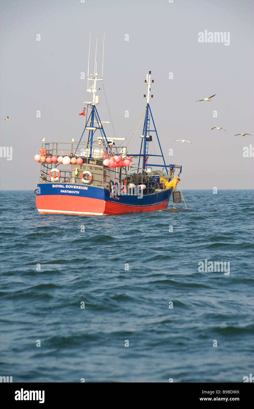 Peschereccio Royal Sovereign sollevamento di lobster pot in mare nel canale in inglese Foto Stock