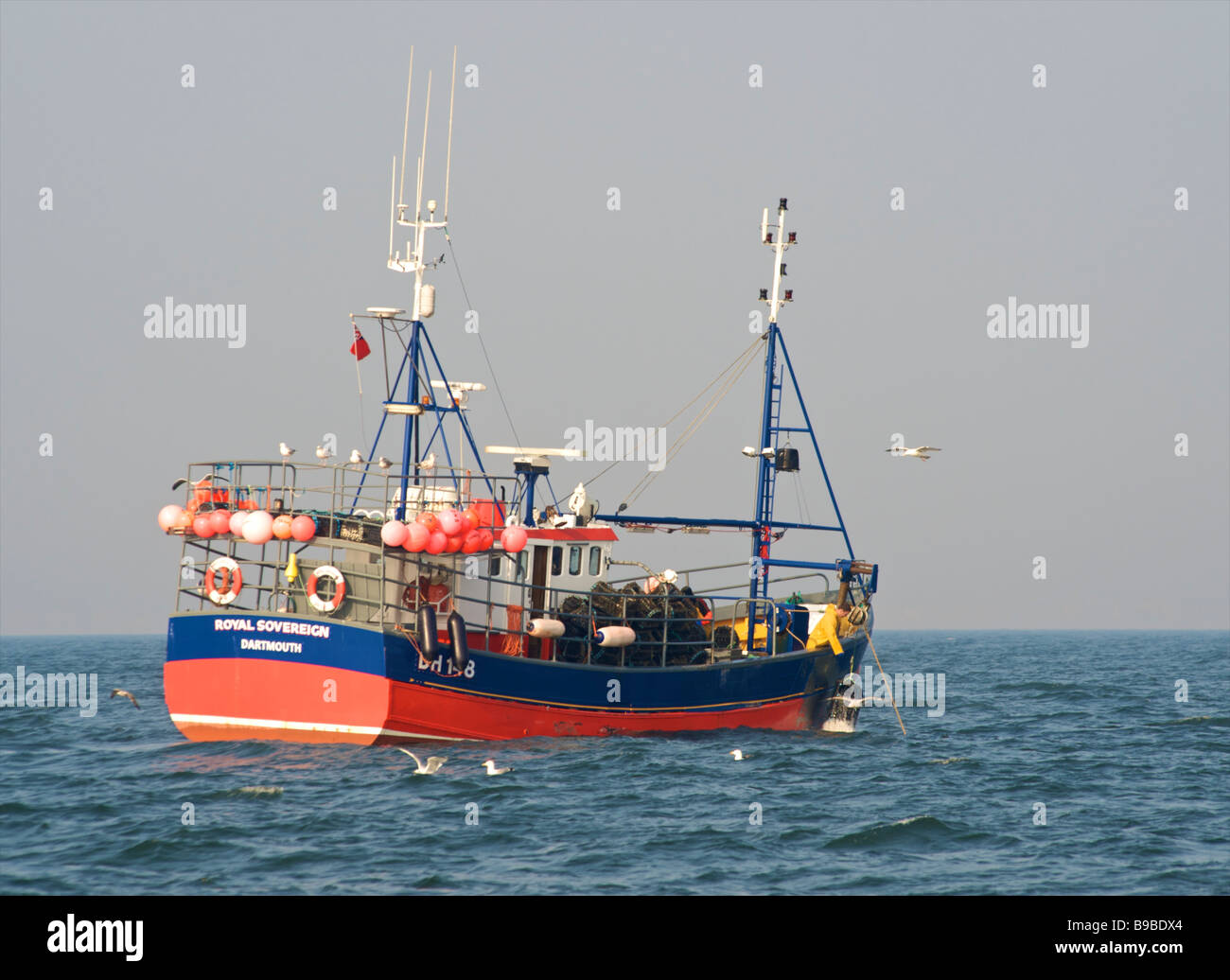 Peschereccio Royal Sovereign sollevamento di lobster pot in mare nel canale in inglese Foto Stock