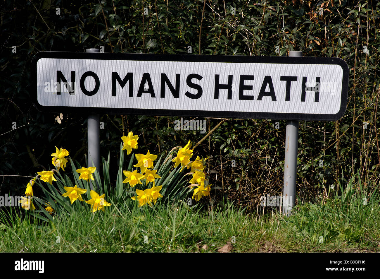 Segno del villaggio e narcisi, No Mans Heath, Warwickshire, Inghilterra, Regno Unito Foto Stock