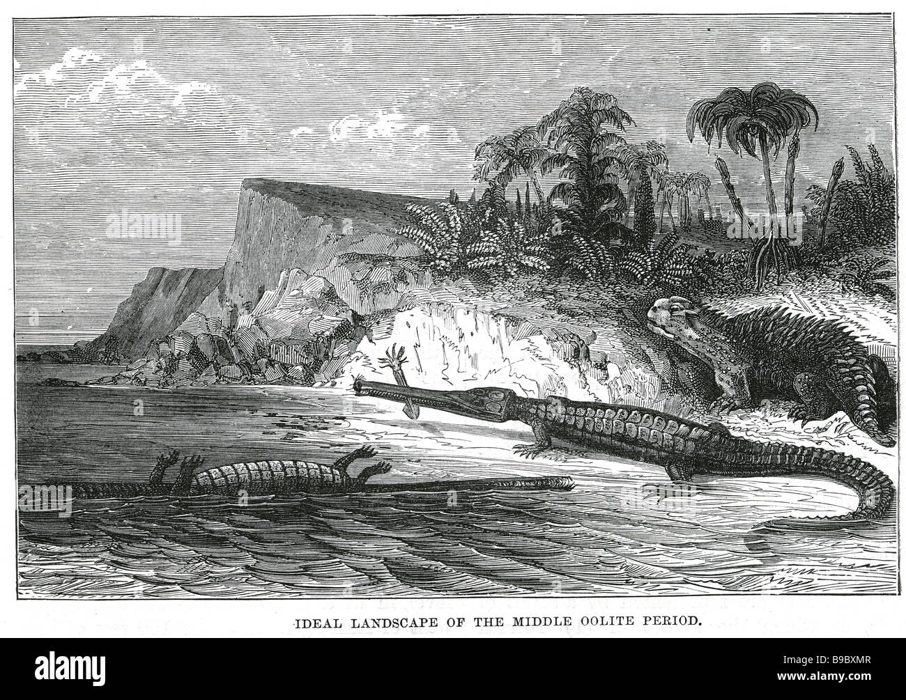 Paesaggio ideale di medio periodo di oolite creature preistoriche crocs paesaggio periodo jurrasic dinosauro riva del mare spiaggia Foto Stock